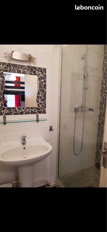 Appartement à vendre, 28m², Saint-Etienne