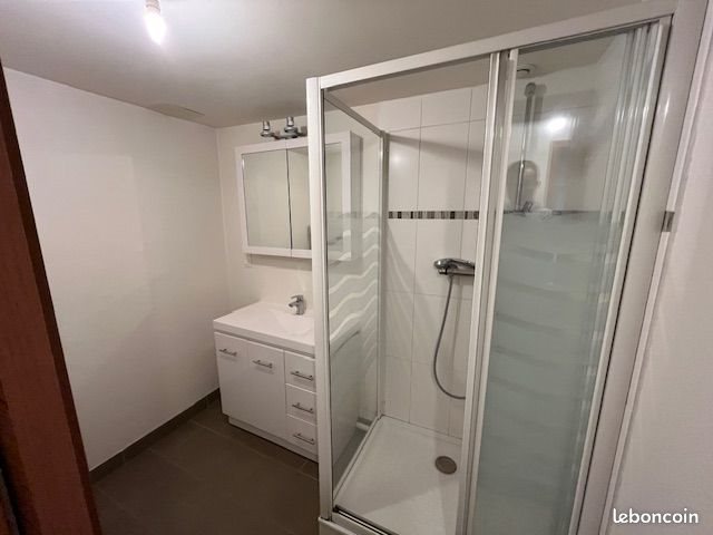 Appartement à louer, 325m², Grenoble