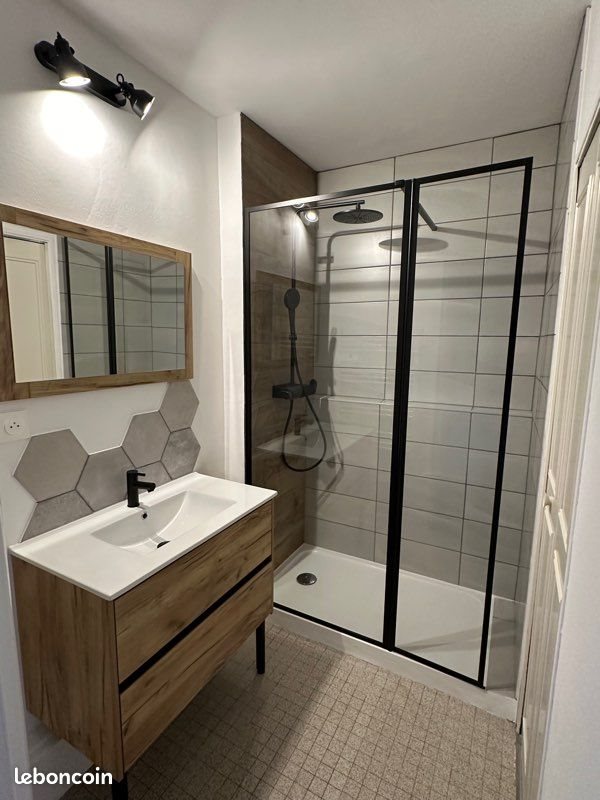 Appartement à louer, 51m², Saint-Etienne