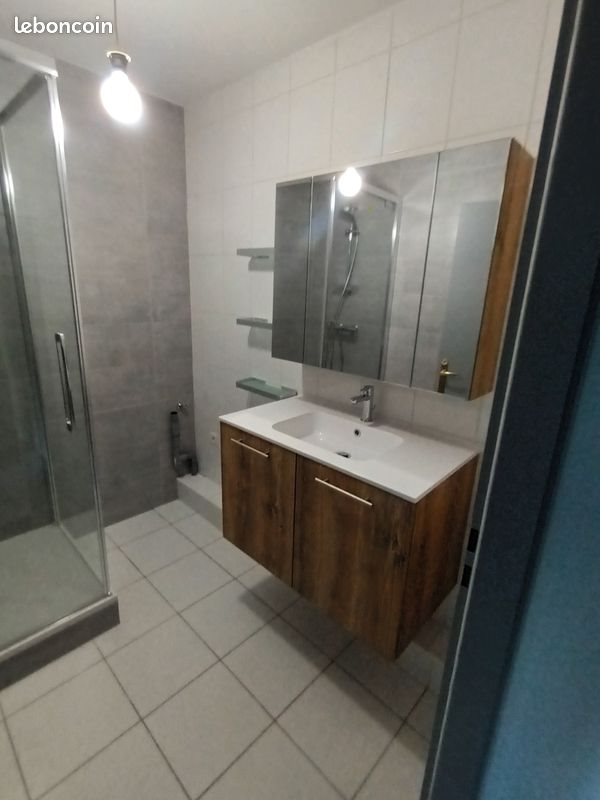 Appartement à louer, 69m², Bartenheim