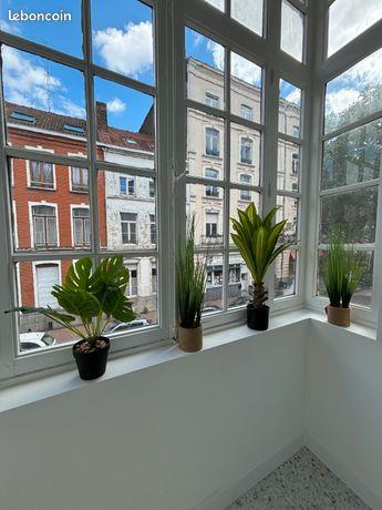 Appartement à louer, 43m², Lille