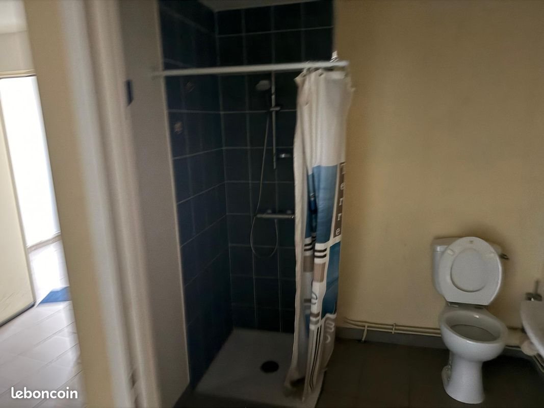 Appartement à louer, 17m², Le Loroux-Bottereau