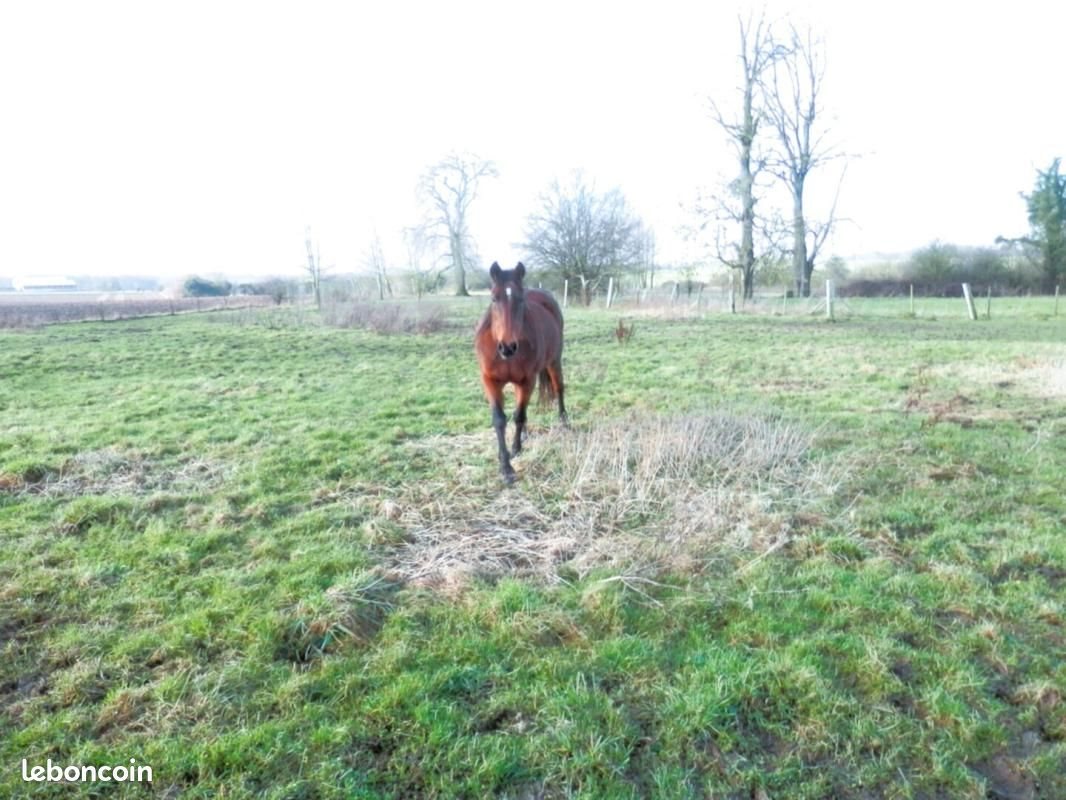 Maison à vendre, 167m², Talmas