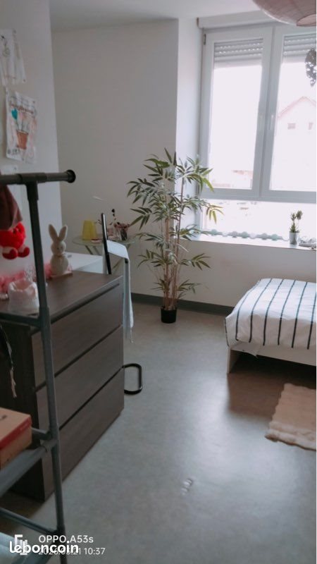 Appartement à louer, 50m², Freyming-Merlebach