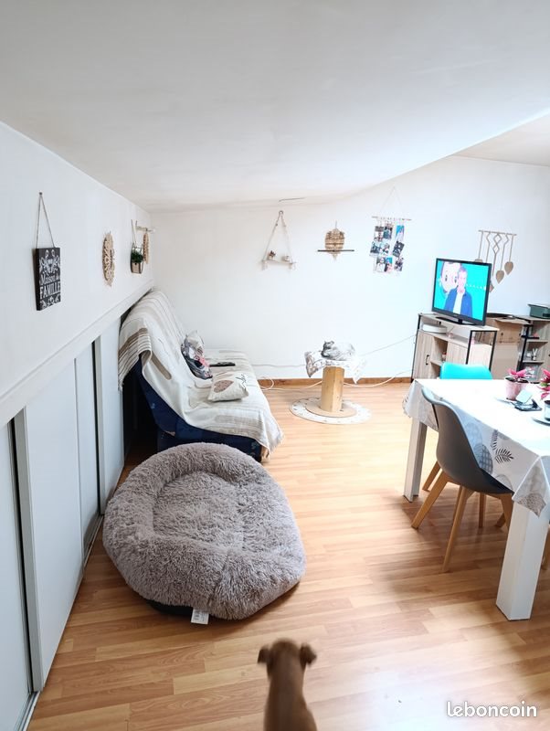 Appartement à louer, 45m², Neuville-sur-Ain
