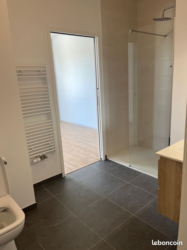 Appartement à louer, 43m², Reims