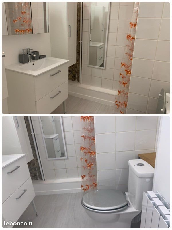 Appartement à louer, 38m², Lyon 5ème