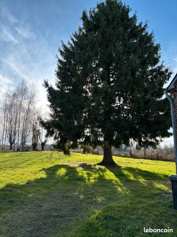 Maison à vendre, 86m², La Vallée-au-Blé