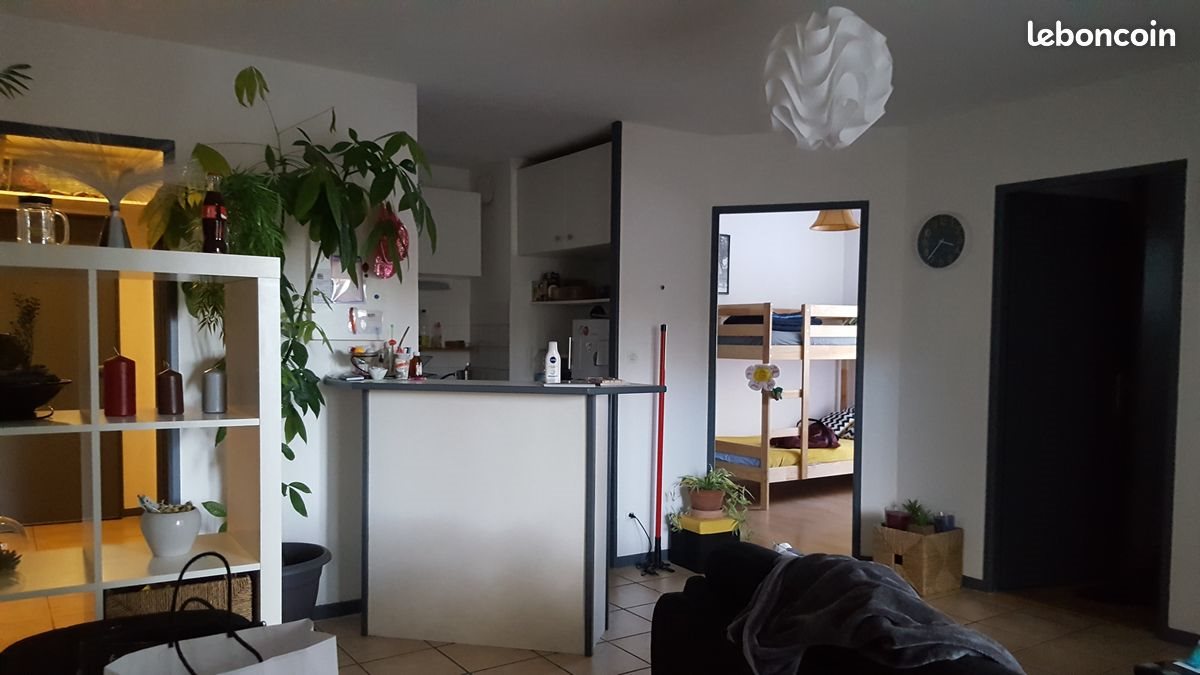 Appartement à louer, 49m², Toulouse