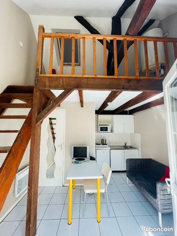 Appartement à vendre, 331m², Tours