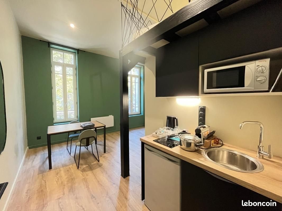Appartement à louer, 27m², Saint-Etienne