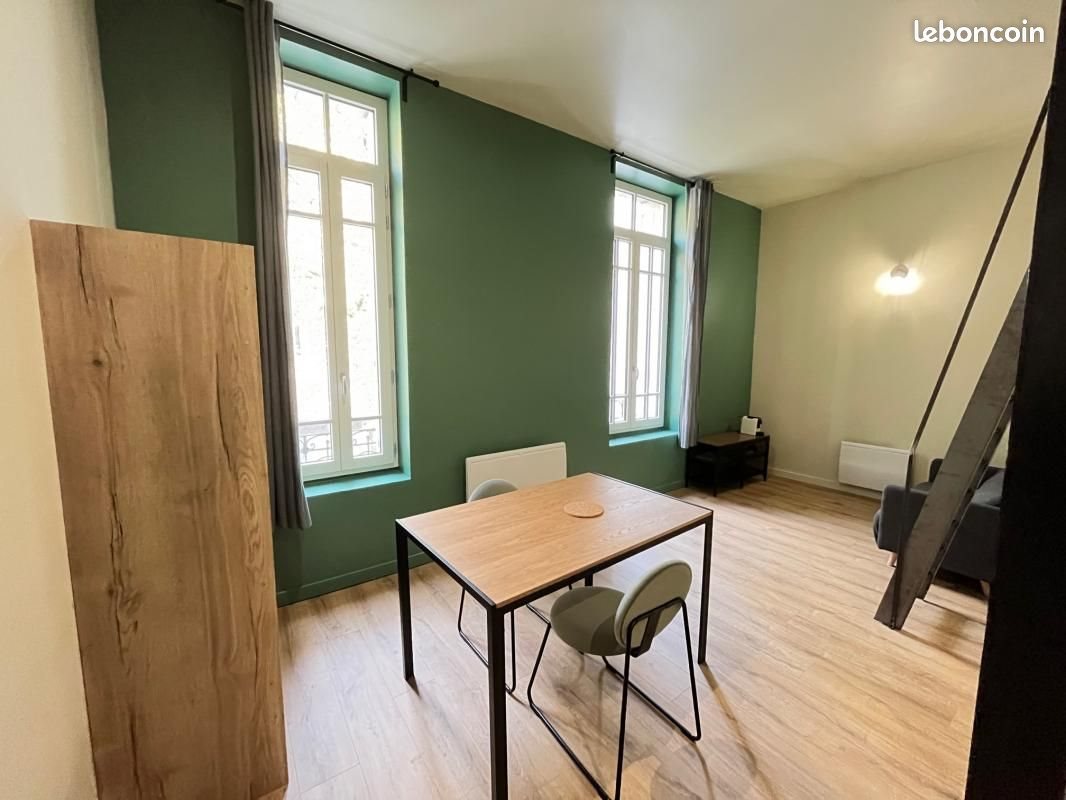 Appartement à louer, 27m², Saint-Etienne