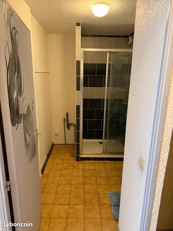 Appartement à vendre, 36m², Grenoble