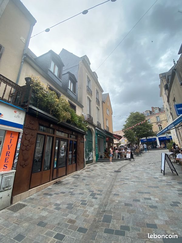 Appartement à vendre, 60m², Le Mans