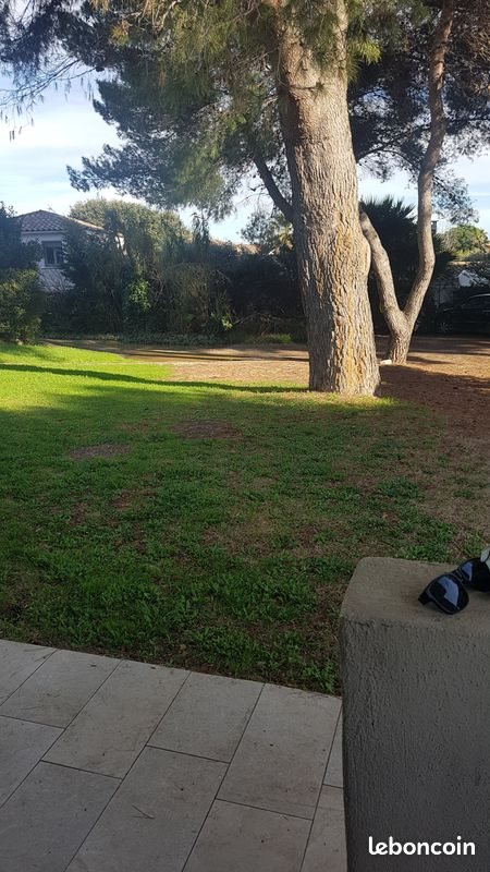 Appartement à louer, 23m², Pérols