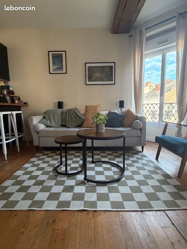 Appartement à louer, 46m², Angers