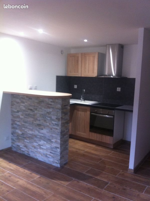 Appartement à louer, 45m², Lyon 9ème