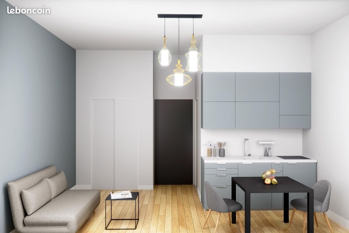 Appartement à louer, 21m², Lyon 2ème