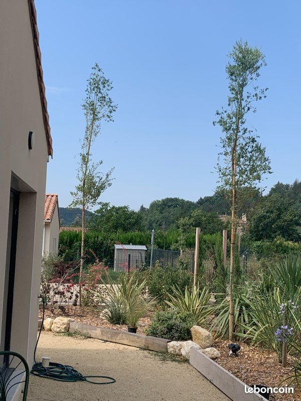 Maison à louer, 87m², Chabrillan