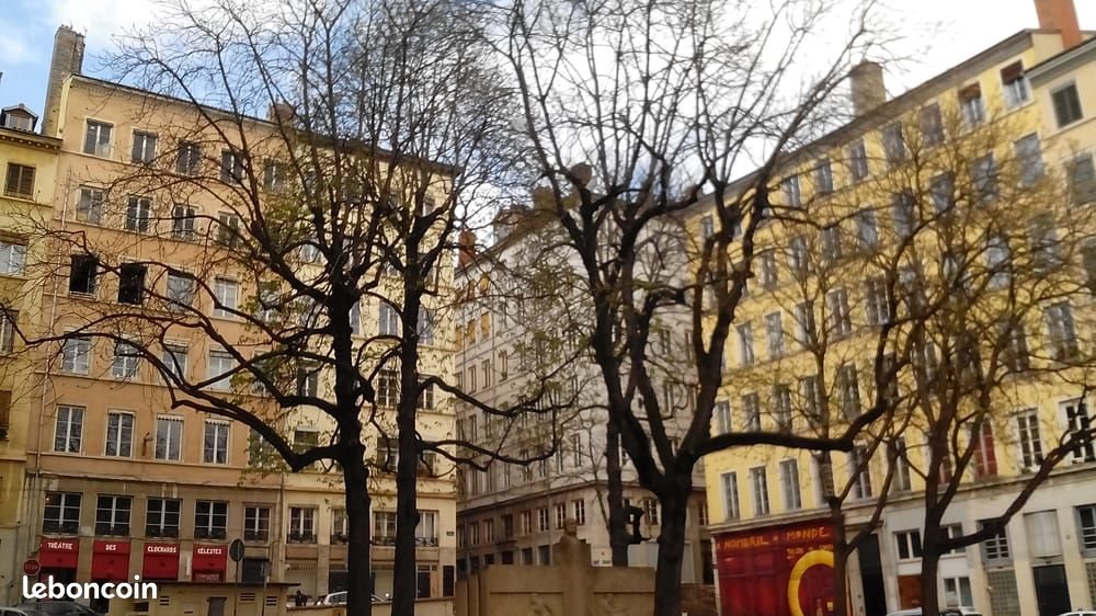Appartement à louer, 35m², Lyon 1er