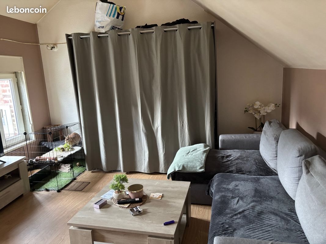 Appartement à louer, 36m², Abbeville