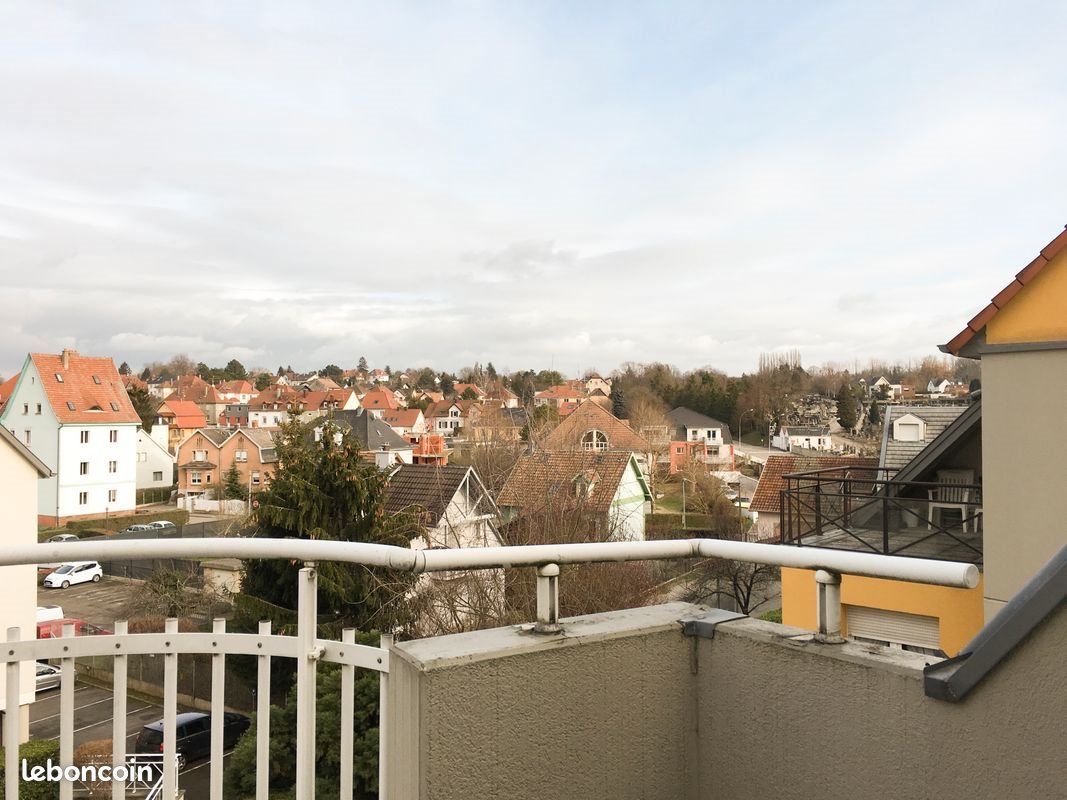 Appartement à louer, 54m², Riedisheim