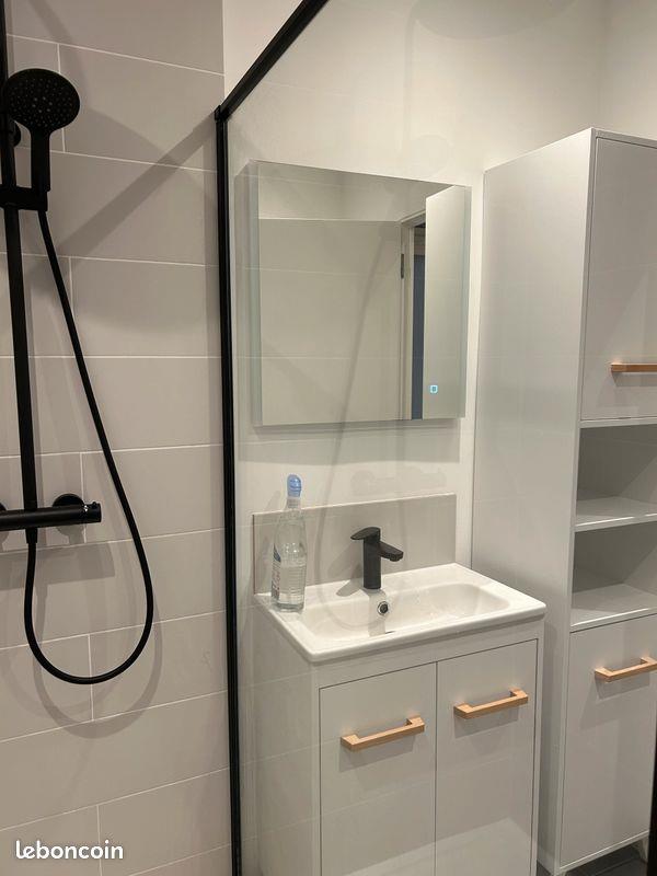 Appartement à louer, 38m², Lille