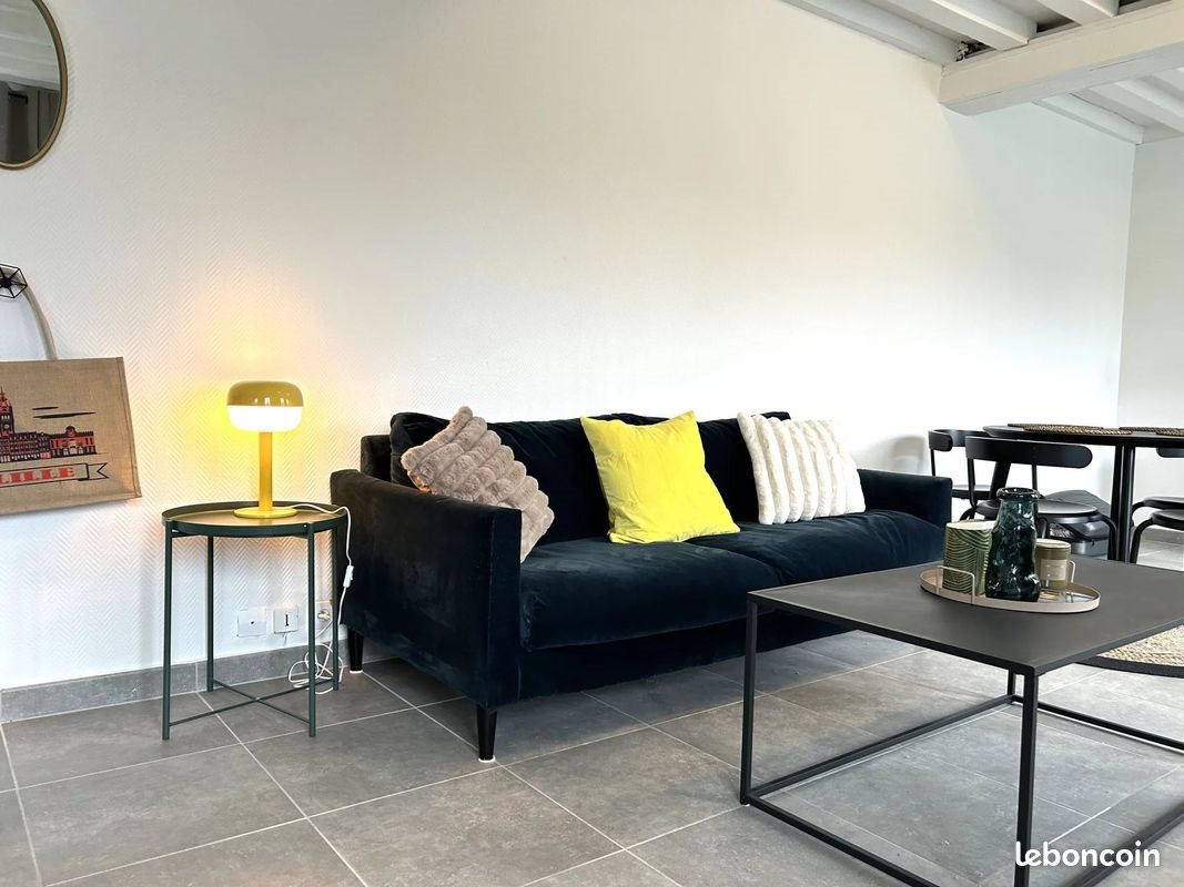Appartement à louer, 53m², Lille
