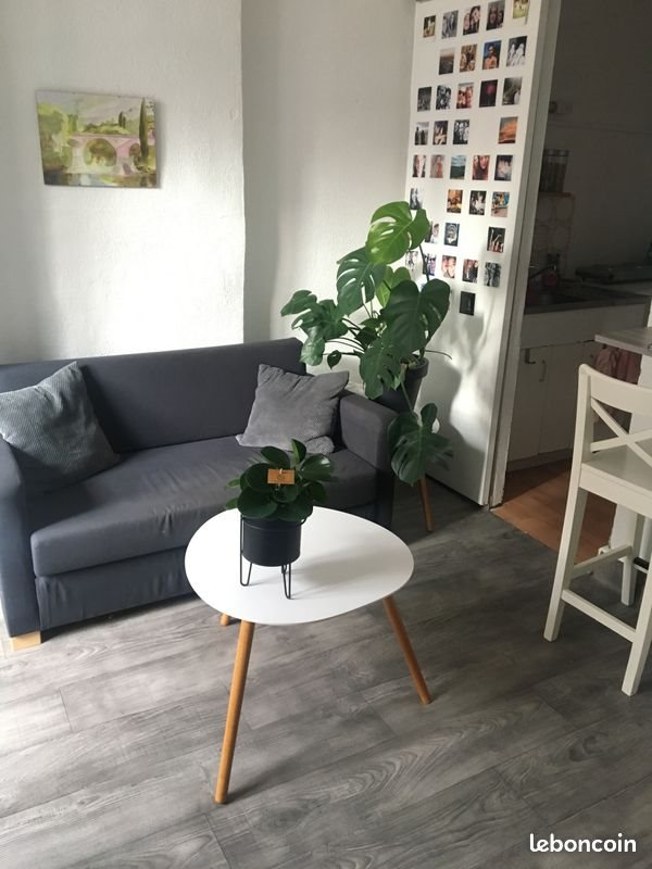 Appartement à louer, 30m², Lyon 7ème