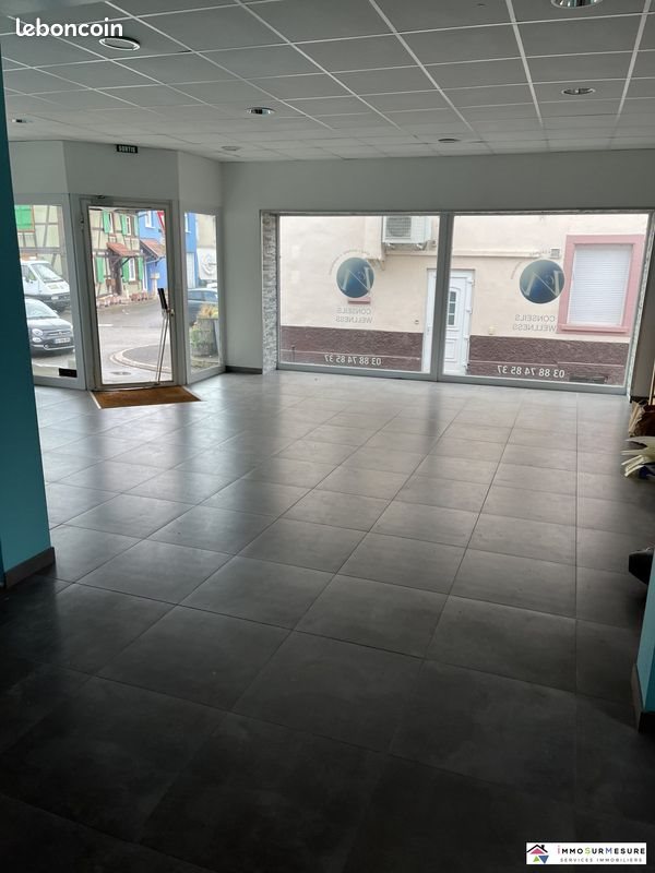 Appartement à vendre, 204m², Benfeld