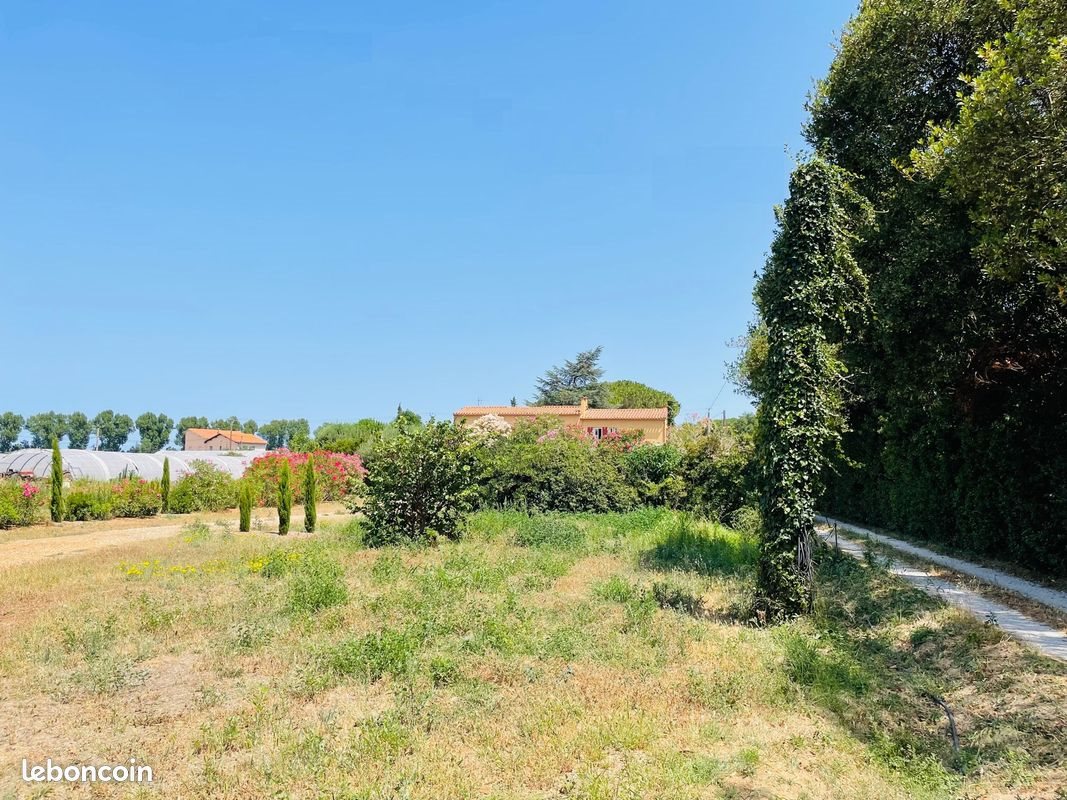 Maison à vendre, 353m², Elne