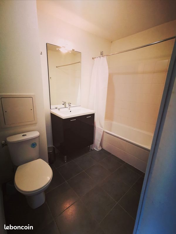 Appartement à louer, 19m², Lyon 7ème