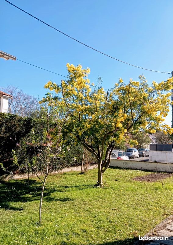 Appartement à vendre, 50m², Pau