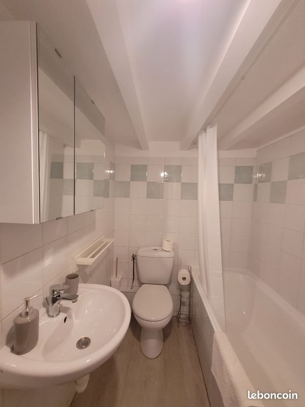 Appartement à louer, 24m², Lyon 2ème