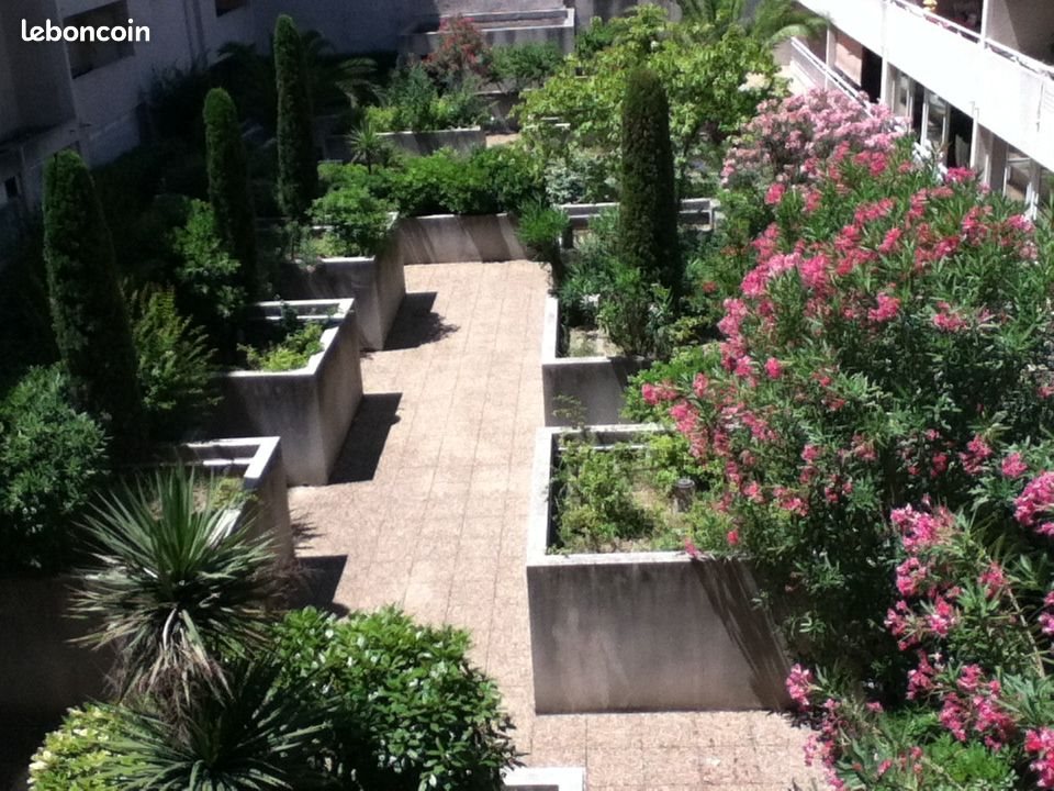 Appartement à louer, 34m², Marseille 6ème