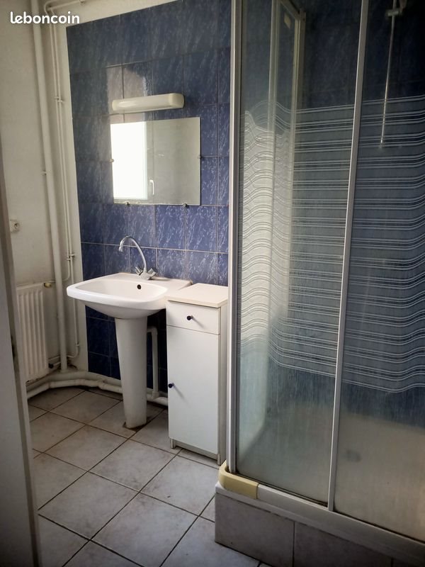 Appartement à louer, 50m², Roanne