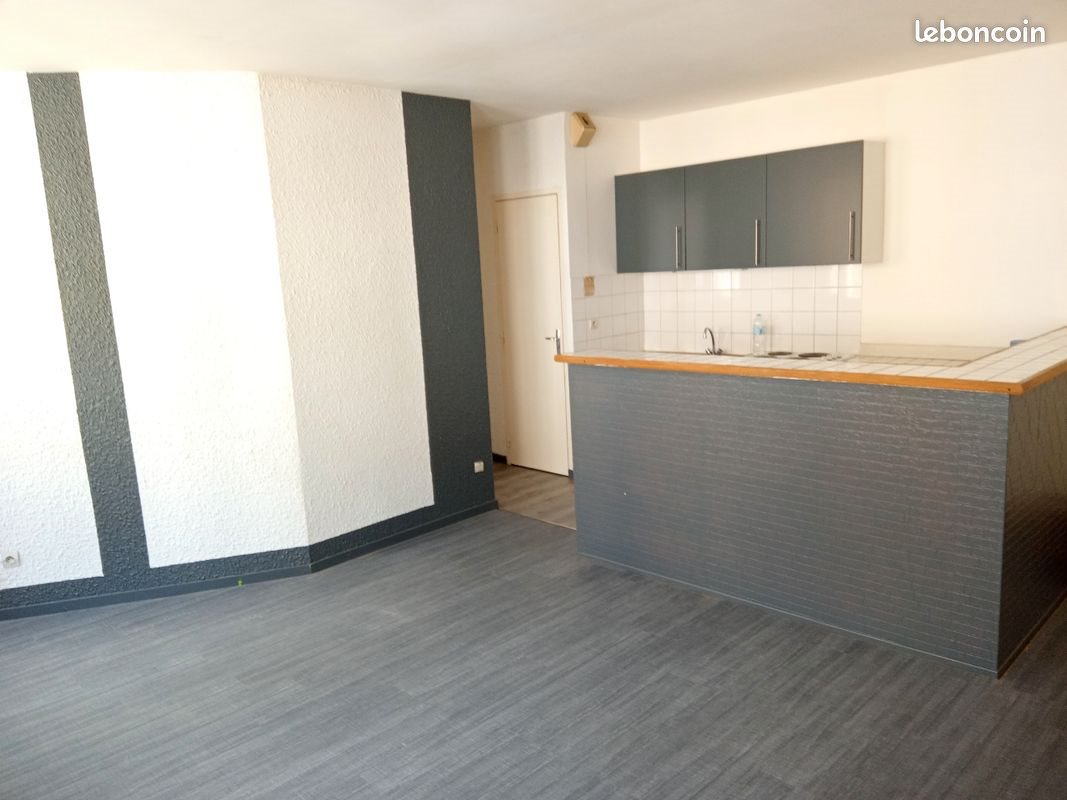 Appartement à louer, 49m², Saint-Etienne