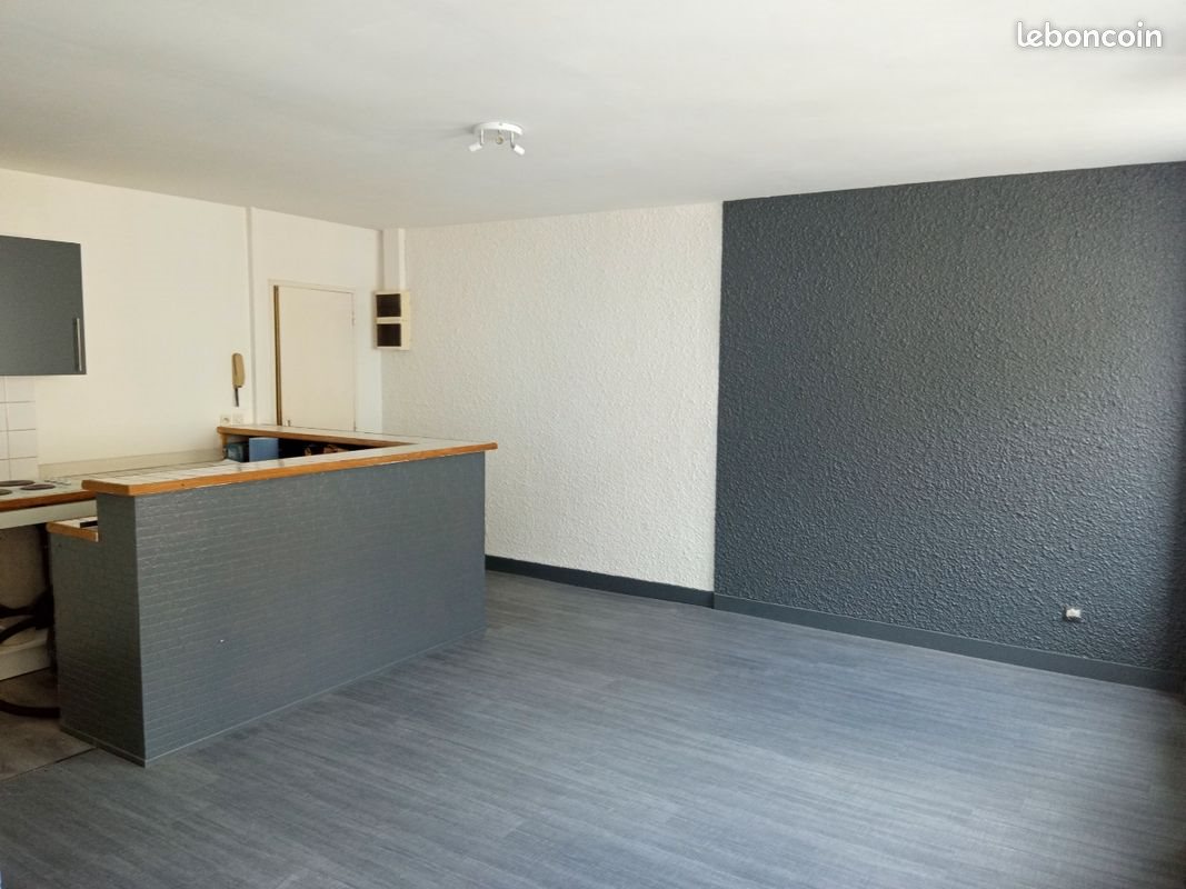 Appartement à louer, 49m², Saint-Etienne