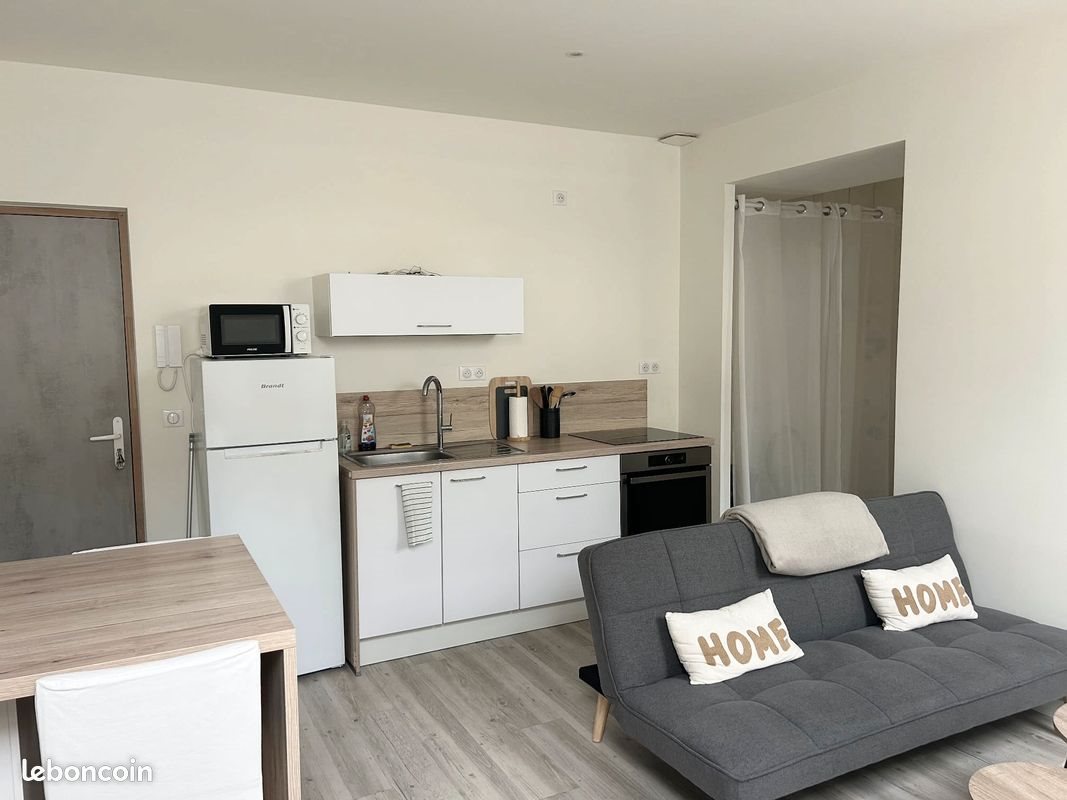 Appartement à louer, 37m², Saint-Etienne