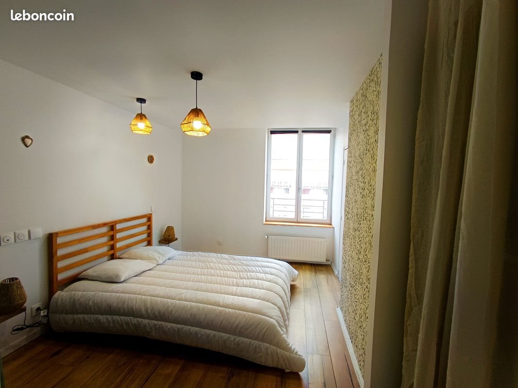 Appartement à louer, 50m², Saint-Etienne