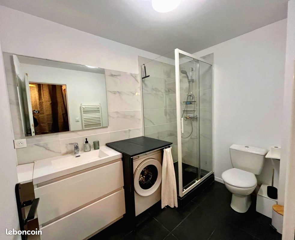 Appartement à louer, 50m², Saint-Etienne