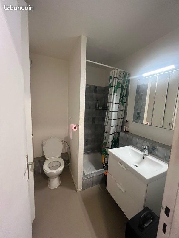 Appartement à louer, 29m², Benfeld