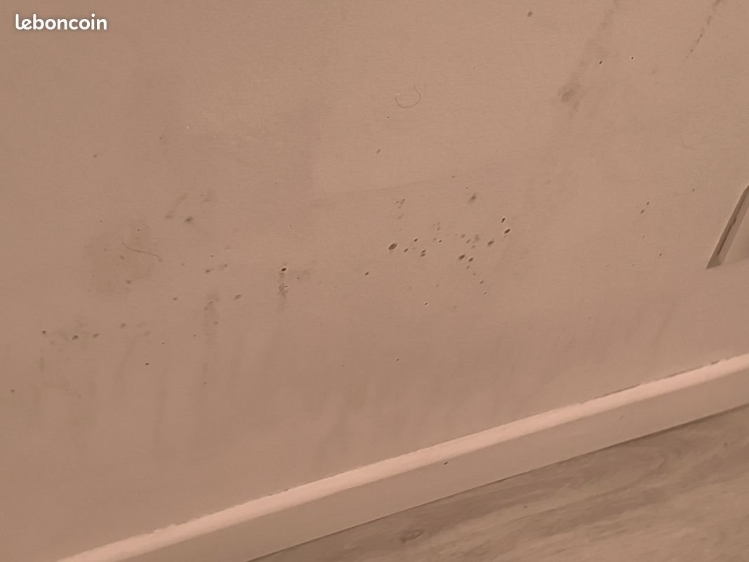 Maison à louer, 80m², Cambrai