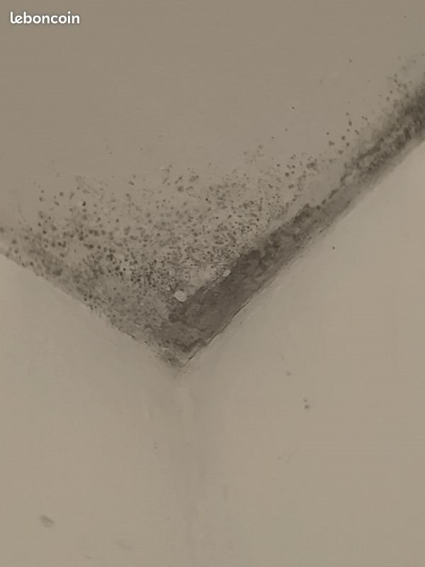 Maison à louer, 80m², Cambrai