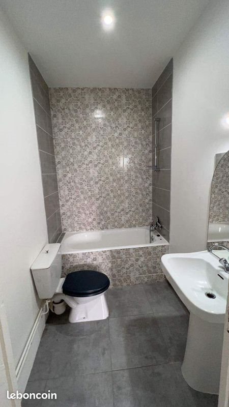 Appartement à louer, 43m², Le Chambon-Feugerolles