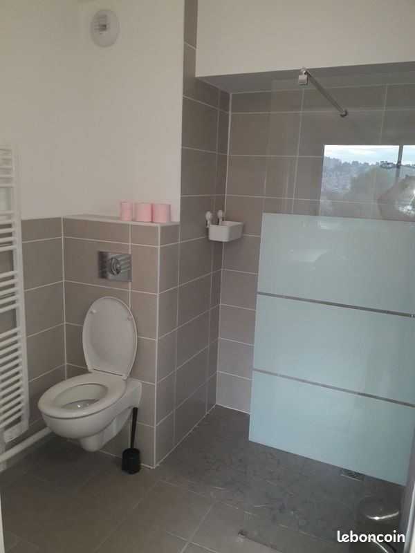 Appartement à louer, 22m², Saint-Etienne