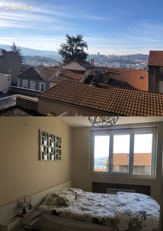 Appartement à louer, 47m², Saint-Etienne