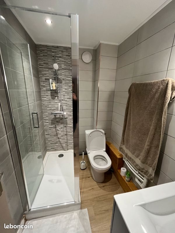 Appartement à louer, 47m², Saint-Etienne