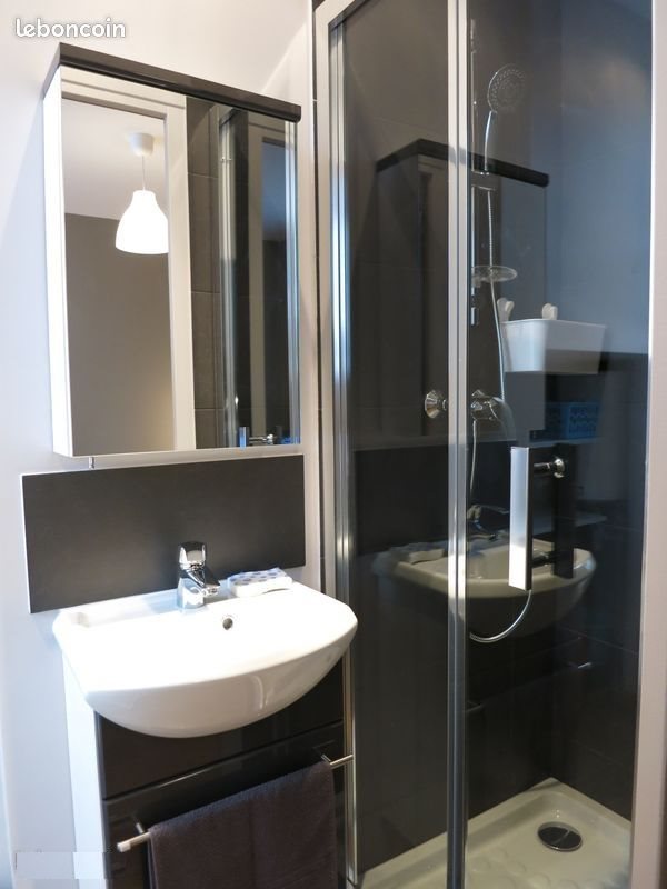 Appartement à louer, 18m², Lille