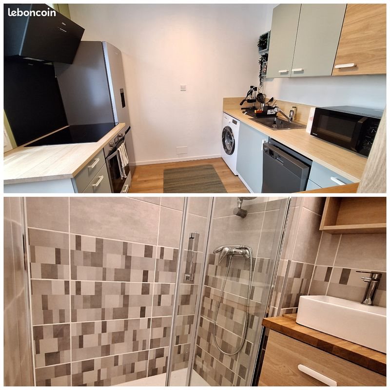 Appartement à louer, 50m², Grenoble